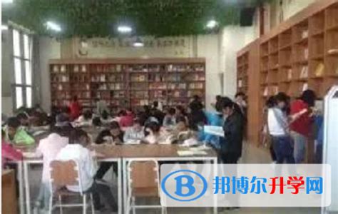 云南师范大学附属镇雄中学2024年招生简章