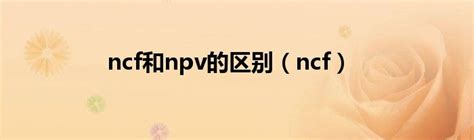 净现值NPV分析_npv净现值分析-CSDN博客