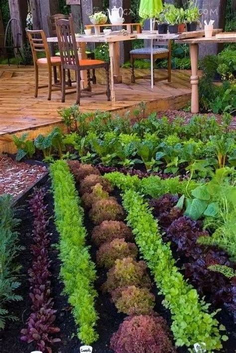 农村现代菜园设计,花园式菜园,创意菜园_大山谷图库