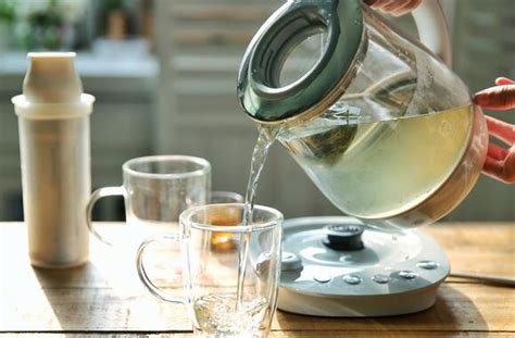 养生壶如何煮绿茶 养生壶煮绿茶的正确方法_茶具_绿茶说