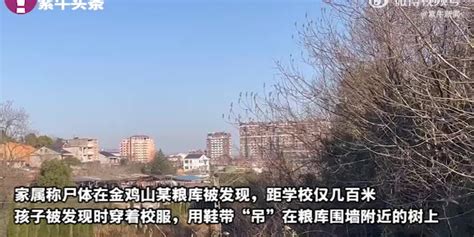 胡鑫宇案仍迷雾重重 扬眼直播记者探访遗体发现地_手机新浪网