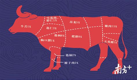 牛肉品牌取名字大全集-探鸣起名网