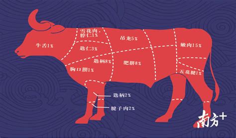 牛肉图解部位名称图片
