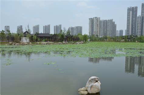 沙湖美景-武汉市沙湖公园官方网站