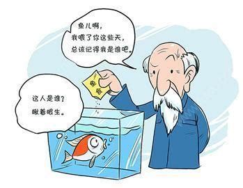 一组漫画告诉你，如果说鱼的记忆是7秒，那你可能还不如一条鱼 - 知乎