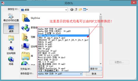 Adobe Acrobat Professional 7.0中文官方版--系统之家
