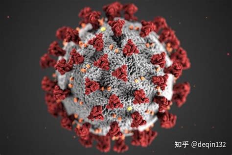 专家：广州本次疫情变异株毒力更强 广州一村现有感染人数共计27人 - 达达搜