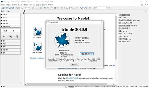 Maple 2020下载-Maple 2020中文版下载[数学软件]-华军软件园