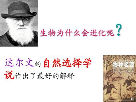 达尔文的自然选择学说在线阅读_2013部编版八年级生物下册书_好学电子课本网