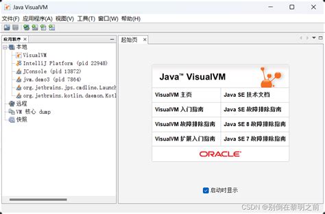【JVM虚拟机】JVM常用命令工具汇总_java虚拟机查看命令-CSDN博客