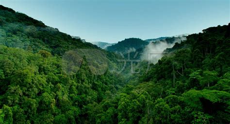 【热带雨林摄影图片】风光摄影_车夫_太平洋电脑网摄影部落