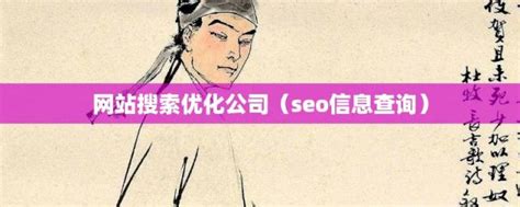 seo信息查询(网站搜索优化公司)_金纳莱网
