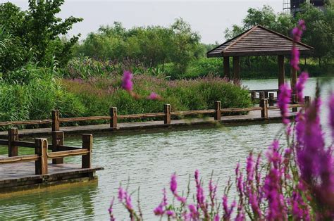 2023艾溪湖湿地公园游玩攻略,...流景点，但是空气清新，风...【去哪儿攻略】