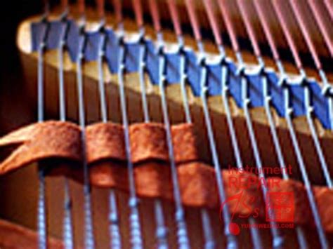 静安区0基础钢琴调音培训需要会弹琴吗「上海司乐文化传播供应」 - 8684网企业资讯