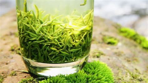 绿茶的功效与作用介绍-茶语网,当代茶文化推广者