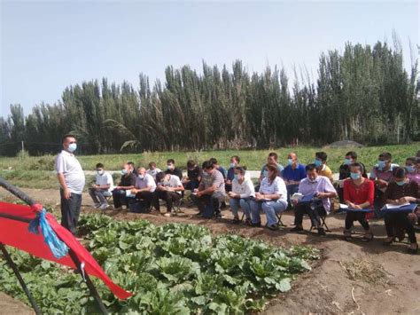 推进技能培训力度，提升农民技能水平-新疆农业职业技术学院继续教育分院