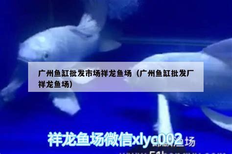 大虾鲜活超大基围虾青岛特大青虾冷冻鲜对虾海捕海虾虾类海鲜水产_水产加工_农副产品_农品供应_宝鸡优质农产品平台