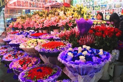 昆明斗南花卉市场在哪里 附具体地址及交通指南_旅泊网