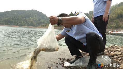 崇阳：1500万尾鱼苗“安家”青山水库 “守护”生态环境_长江云 - 湖北网络广播电视台官方网站