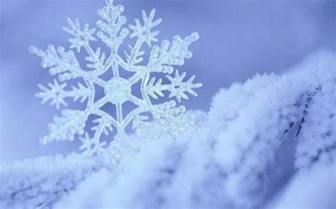 台大合唱团《雪花的快乐》，让这个旋律温暖你的冬季 - 微文周刊