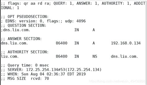 Linux：DNS主、从、缓存服务器配置、DNS同步加密TSIG配置、DNS分离解析配置_dcnis02048的博客-CSDN博客