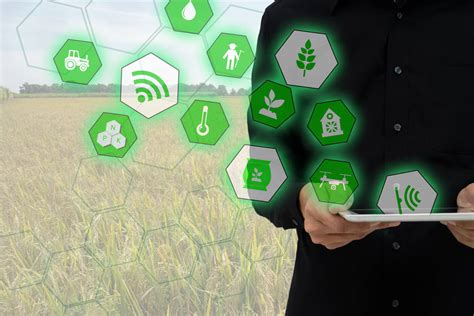 物联网与人工智能在智慧农业中的应用-千家网