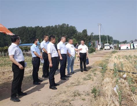 许昌市城乡一体化示范区开展重点项目调研督导-大河网