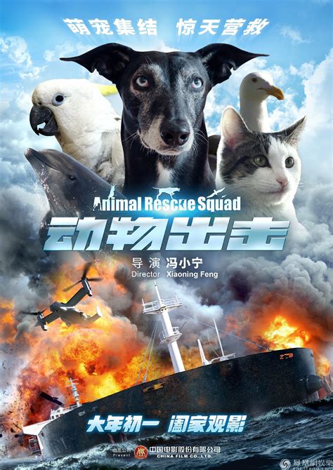 《动物出击》首曝定档海报 大年初一献上阖家欢乐大戏 - 拓外网