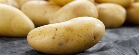 土豆如何种植，可以通过以下4步进行 —【发财农业网】