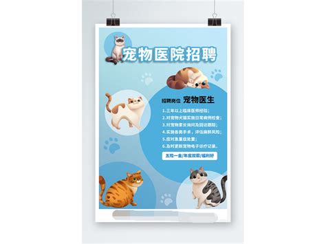 黄白宠物医生招聘宠物医院招聘海报模板下载-编号4668554-众图网