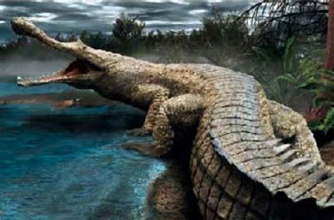 陆地有史以来最大的动物——长颈蜥脚类恐龙喜欢生活在地球上更温暖的热带地区 - 化石网