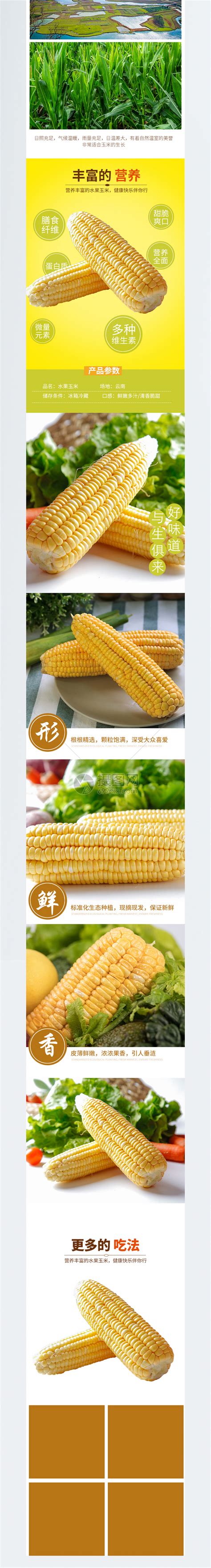 彩色玉米产品成与玉米产品优质质量描述位置为文本矢量插图玉米制品成插画图片下载-正版图片300907751-摄图网
