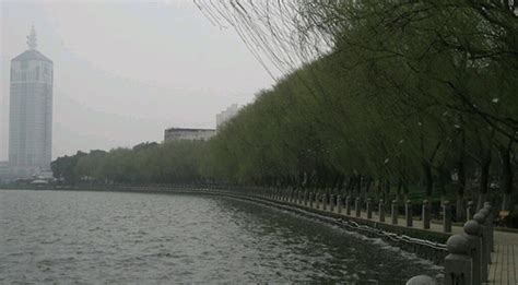 青山湖水上森林（2） 第3页-中关村在线摄影论坛