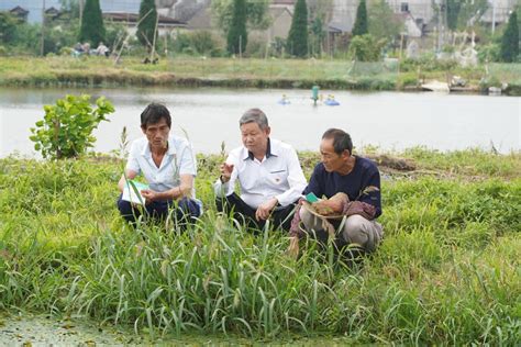 市农技推广中心组织新进人员开展调研和实践活动_滁州市农业农村局
