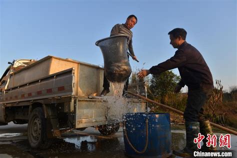 涪陵区开展渔业资源增殖放流活动_重庆市涪陵区人民政府