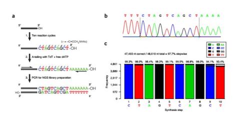 生物学中的机器学习：使用K-Means和PCA进行基因组序列分析 COVID-19接下来如何突变？ - 知乎