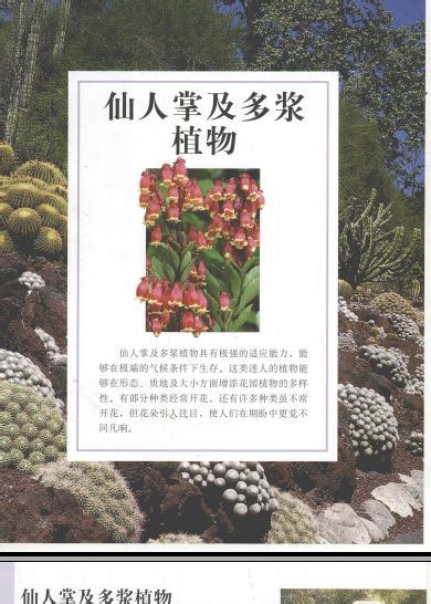 资料下载：《世界园林植物与花卉百科全书》.11仙人掌及多浆植物.pdf