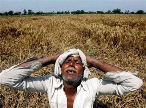 数十万印度农民闯入新德里，要求莫迪下台，特鲁多：无条件支持