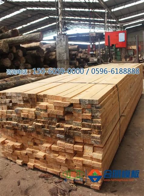 原木,方料,建筑模板,木线,木门,各类板材,富阳市木材综合市场