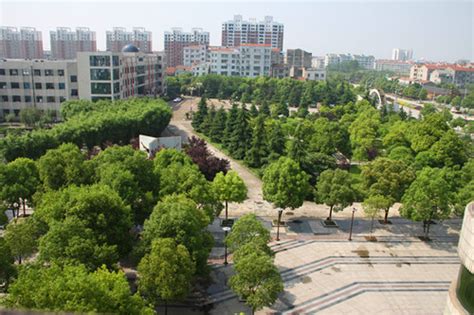 监利入选湖北省森林城市拟批准名单 - 监利市人民政府