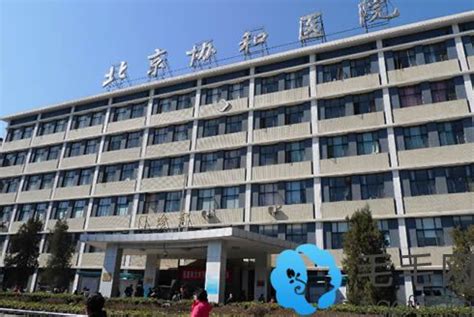 打造现代医院发展平台 建好区域综合医疗中心-岳阳日报