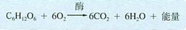 密闭反应体系中，光催化CO2研究中的活性如何计算？-泊菲莱科技