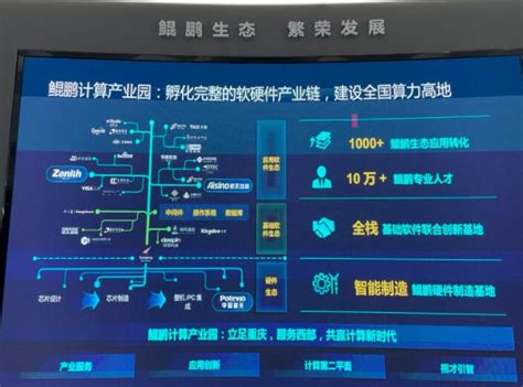 重庆市计算机技术与软件专业技术资格（水平）考试报名网