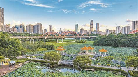 “公园深圳”上线，市民可在线实时掌握公园各类信息_深圳24小时_深新闻_奥一网