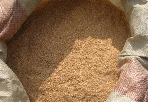 米糠饲用价值及在牛羊兔饲料中的使用方法