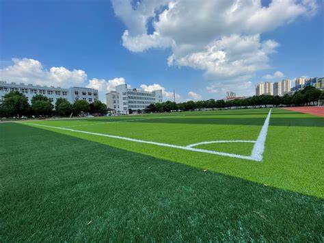 足球场草坪多少钱一平米