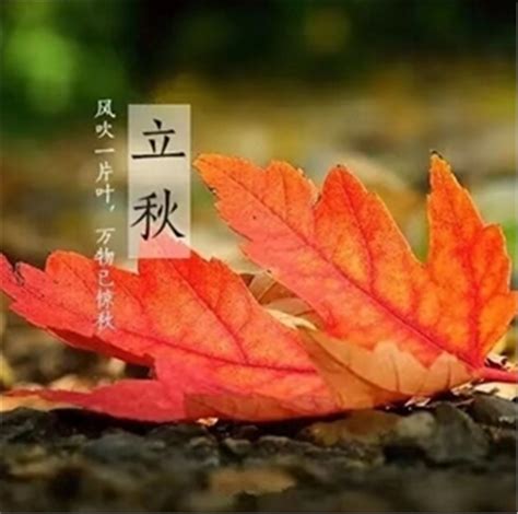 贵阳：风吹黄叶落 天凉好个秋-天气图集-中国天气网