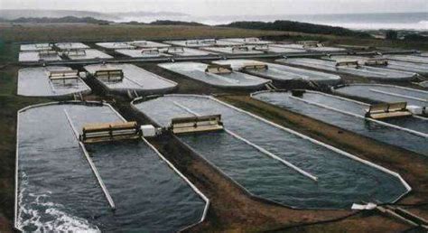 水产养殖水质监测-在线溶氧仪-米科官网