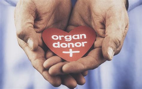 “你是否愿意捐献自己的器官，帮助有需要的人？”_澎湃新闻-The Paper