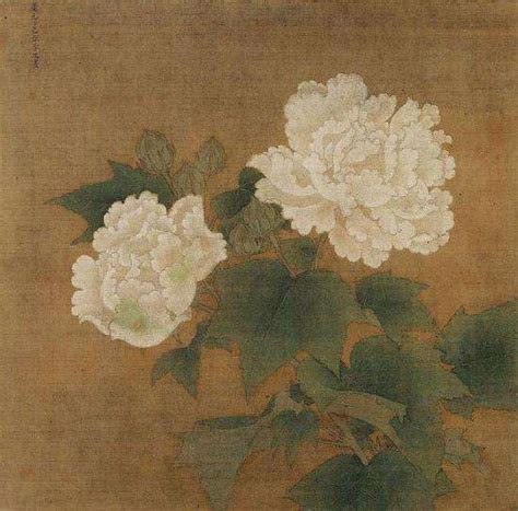 红白芙蓉图图片